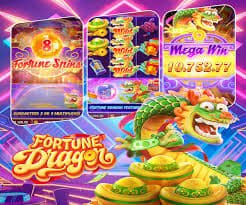 c555 game