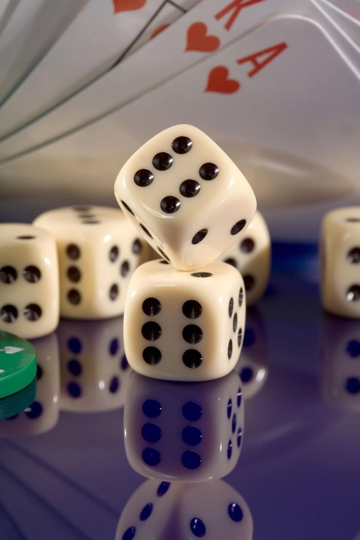 c555 game