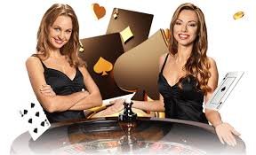 c555 game